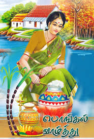 Image result for pongal festival images