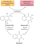 Vitamin D Überdosierung Dr. Schweikart