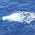 Bodies positively identified as 2 missing fishermen