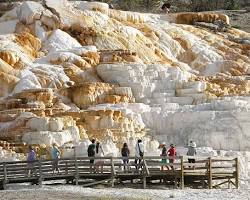 Mammoth Hot Springs in Yellowstone National Park