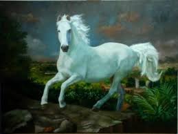 Resultado de imagem para cavalo perdido