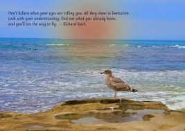 Richard Bach&#39;s quotes, famous and not much - QuotationOf . COM via Relatably.com