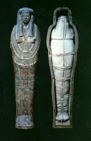 images?q=tbn:ANd9GcSeLTKGLQ4vRzKgMK-ClAmyX8kLkveX0LPAYfv4KKAuaBolwOT2Vw