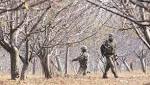 Woman killed Pakistan firing along