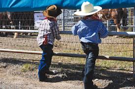 Image result for little cowboy  watching ranch rodeo