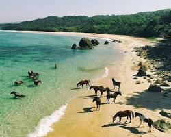 Image of Nihiwatu Beach, Sumba