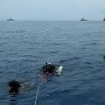 Indonesian plane crashes into with