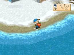 Hasil gambar untuk letak power berry di harvest moon btn