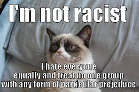 Image result for not racist meme