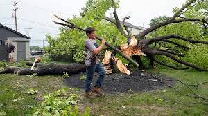 National Weather Service suspects a tornado hit Columbus Aug. 11