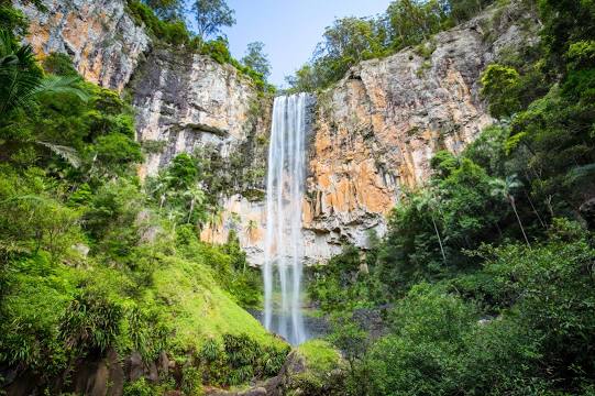 Springbrook National Park