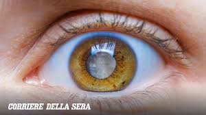 Trend Google: giornata mondiale della vista