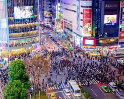 Image of Shibuya Crossing, Tokyo