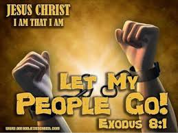 images?q=tbn:ANd9GcSf5sPgMQ9BE5tQ0bdlGMO-68yur9QE2UC46HD36v2xKB0KrcKs