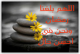 لا تفوتك هذه الصورة! Images?q=tbn:ANd9GcSf6UG_0TIAJG9v7DUhIbX3aahEawXZ2XZ8HOSyUfTS_S2r8LMS