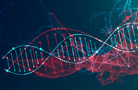 Red Hair Gene Favored by Natural Selection Over 10,000 Years