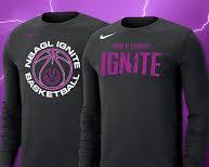OVO Team Crewneck Sweatshirt with team name and logo in different fonts and colors