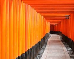 京都の伏見稲荷大社の画像