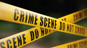 Police: more than 70 animals removed from Schoharie Co. property