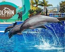 Image of SeaWorld San Diego, California