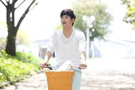 Hasil gambar untuk biodata kim soo hyun