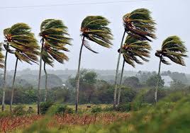 Resultado de imagen de como se genera el viento