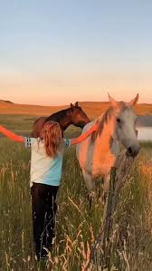 This is the kind of loyalty humans are still learning ...