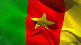 Résultat de recherche d'images pour "DRAPEAU DU CAMEROUN"