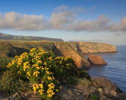 Image of Santa Cruz Island, California
