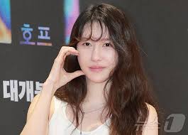 백지헌 아이콘