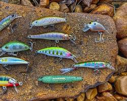 various trout lures in natural colorsの画像