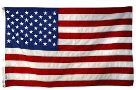 Image result for american flag