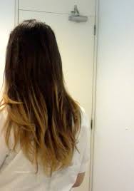 Resultado de imagem para como fazer californiana em casa passo a passo