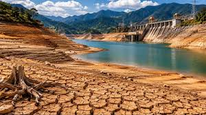 Trend Google: el niño