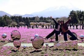 News source: 読売新聞