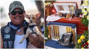 Tras días desaparecido, perrito llega al funeral de su dueño ...