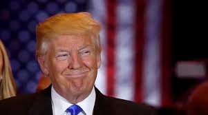 Image result for trump president elect