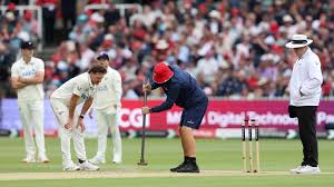 MCC unveils double portrait of Sir James Anderson and Stuart Broad CBE at Lord's - Lord's Cricket Ground