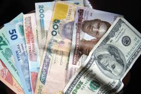 Image result for nigeria money