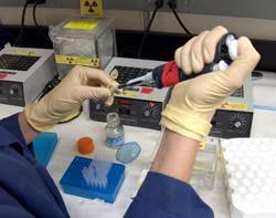 Image result for forensic toxicology