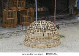 Image result for chicken cage