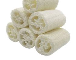 Immagine di Spugna per il corpo in luffa