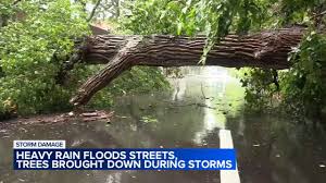 ABC7 Chicago - News update