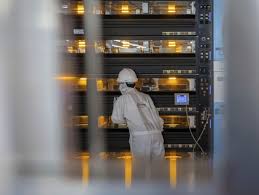 institut der deutschen wirtschaft