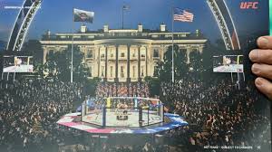 UFC Freedom 250 tickets: Dana White explains restrictions for White House event