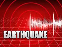 Image result for Earthquake sign