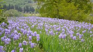 1 Maggio : la rencontre qui retient son souffle