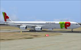 Image result for TAP air portugal