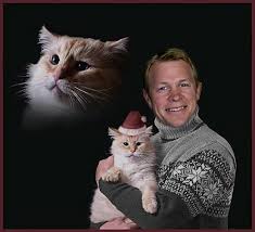 Image result for bronco mendenhall gif