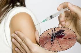 Resultado de imagen de dengue
